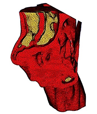 Fig. 5
