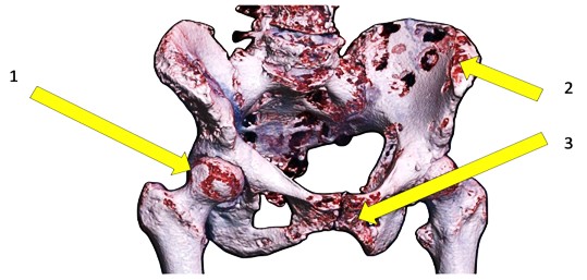 Fig. 6
