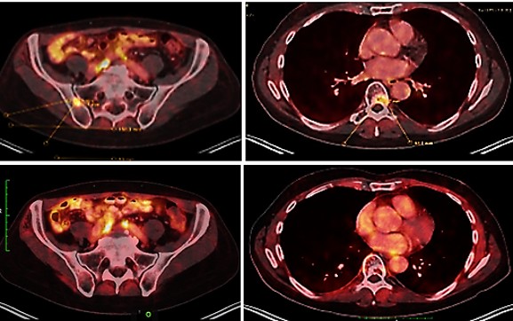 Fig. 7