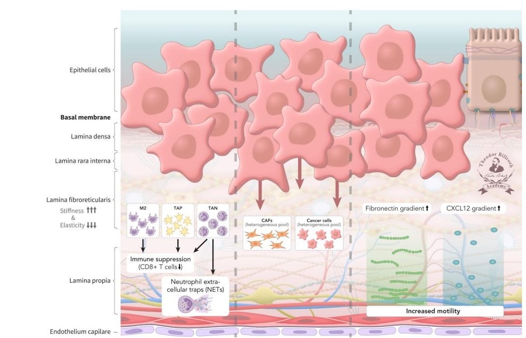 Graphical highlight PMN-2